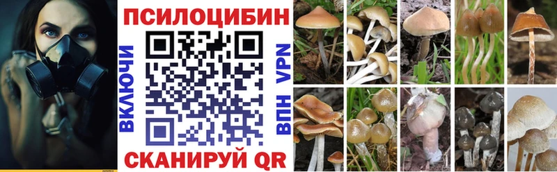 гидра онион Тында Галлюциногенные грибы прущие грибы